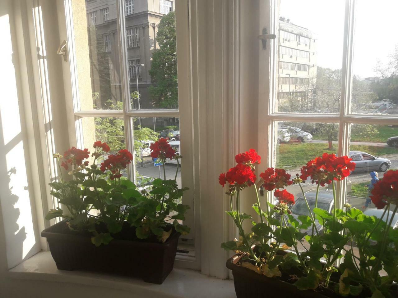 Apartment Lea Lux Belgrád Kültér fotó